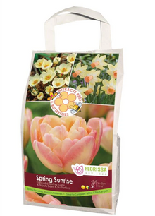 Mélange Feed the Pollinators ‘Spring Sunrise’
