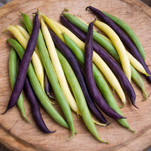 Bush bean mix