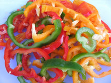 Mélange de poivrons (<em>Capsicum annuum</em>)
