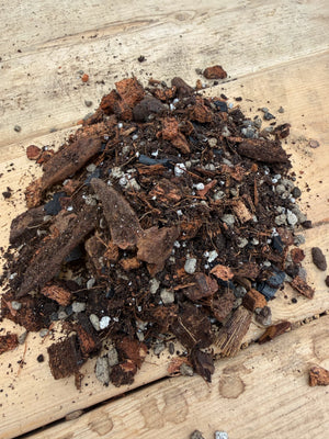 Gros plan sur le mélange de terreau Gaïand pour aroïdes et hoyas composé d’écorce, fibre de coco, charbon horticole et particules drainantes