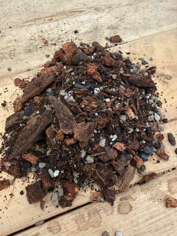 Gros plan sur le mélange de terreau Gaïand pour aroïdes et hoyas composé d’écorce, fibre de coco, charbon horticole et particules drainantes