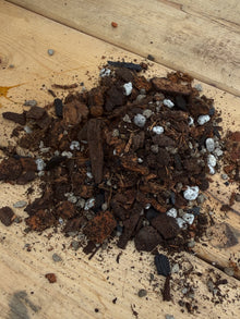 Gros plan sur le mélange de terreau Gaïand pour cactus épiphytes composé d’écorce, fibre de coco, perlite et charbon horticole