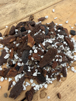 homemade orchid potting mix Homemade potting mix for orchids