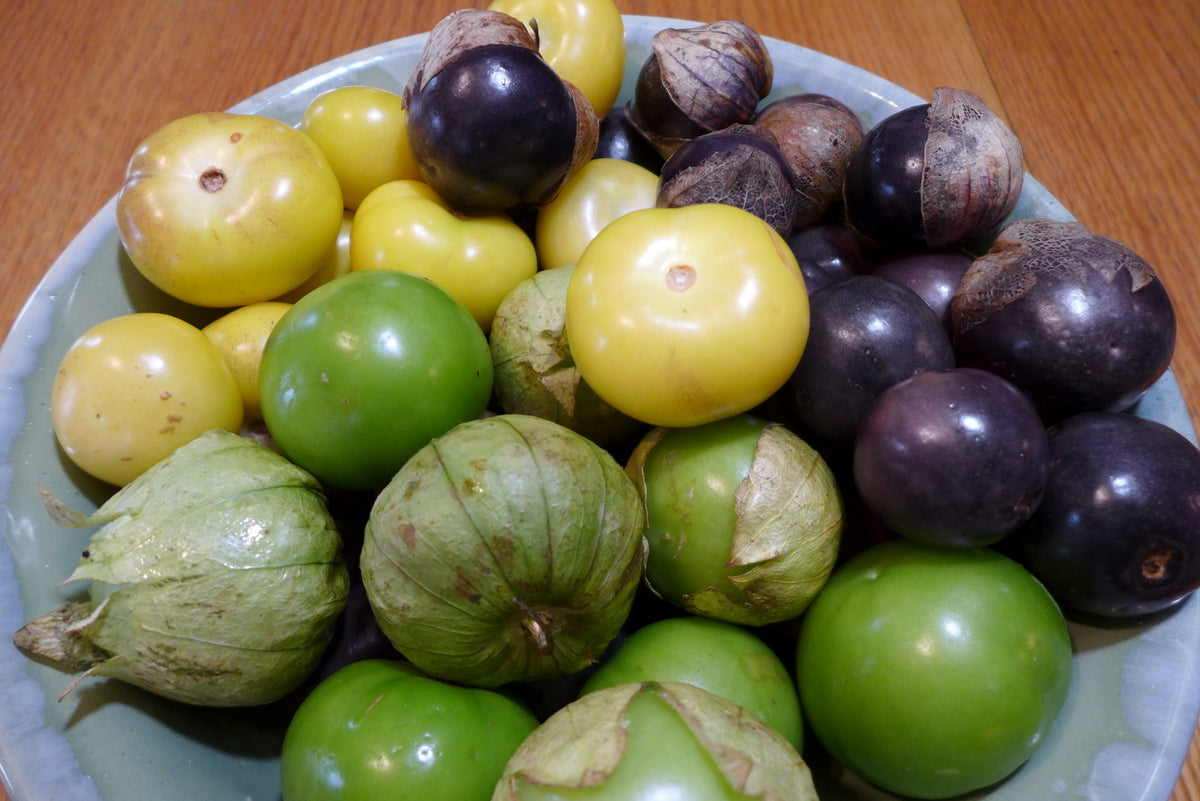 3-variety tomatillo mix