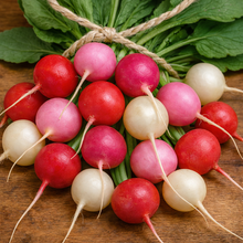 Organic 'Easter Egg' radish mix