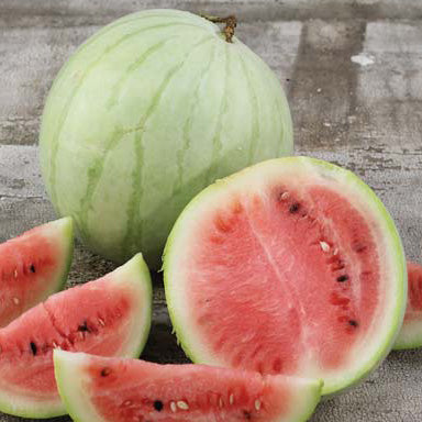 Melon deau King and Queen Winter. Pastèque à écorce vert clair, ouverte sur une chair rouge. Le cadrage permet de voir les formes, les couleurs et les détails du sujet représenté. Les contours se détachent du fond de l’image, avec des différences de teinte et de texture visibles sur les surfaces. Cette vue accompagne la présentation du produit dans la boutique.