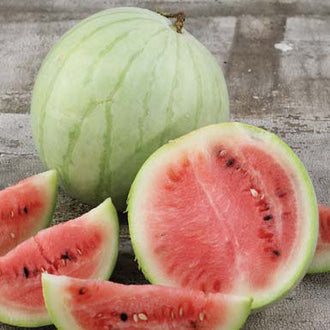 Melon deau King and Queen Winter. Pastèque à écorce vert clair, ouverte sur une chair rouge. Le cadrage permet de voir les formes, les couleurs et les détails du sujet représenté. Les contours se détachent du fond de l’image, avec des différences de teinte et de texture visibles sur les surfaces. Cette vue accompagne la présentation du produit dans la boutique.