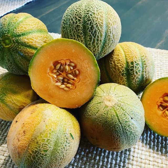 Organic 'Minnesota Midget' Melon