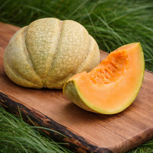 Melon 'Oka' 
