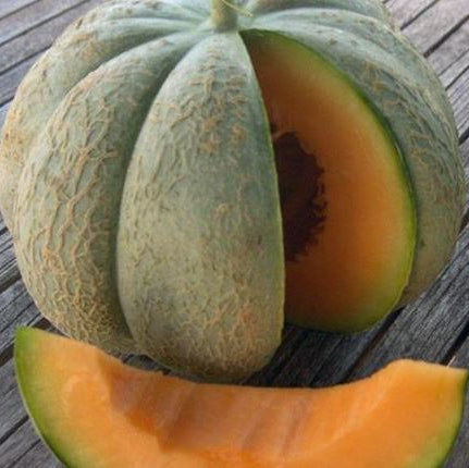 Organic 'Oka' Melon