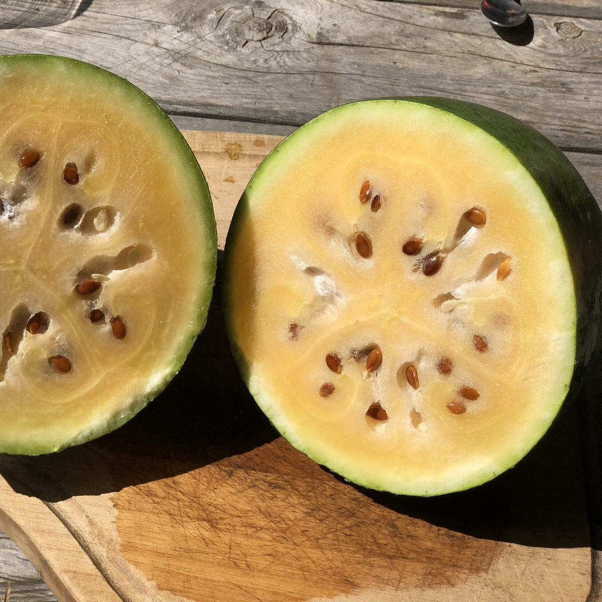 Melon deau Sweet Siberian. Pastèque coupée montrant une chair jaune et des graines sombres. Le cadrage permet de voir les formes, les couleurs et les détails du sujet représenté. Les contours se détachent du fond de l’image, avec des différences de teinte et de texture visibles sur les surfaces. Cette vue accompagne la présentation du produit dans la boutique.