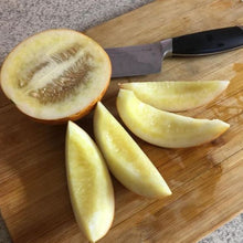 Organic 'Tigger' Melon