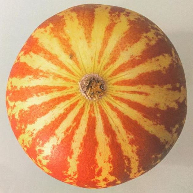 Organic 'Tigger' Melon