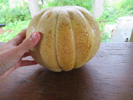 Melon 'Tip Top'