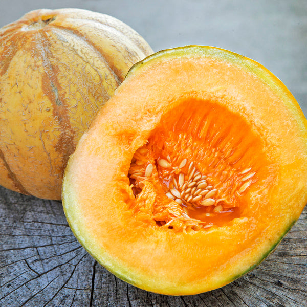 The gardens of the ecumene | Organic Oka Melon – Pépinière.ca