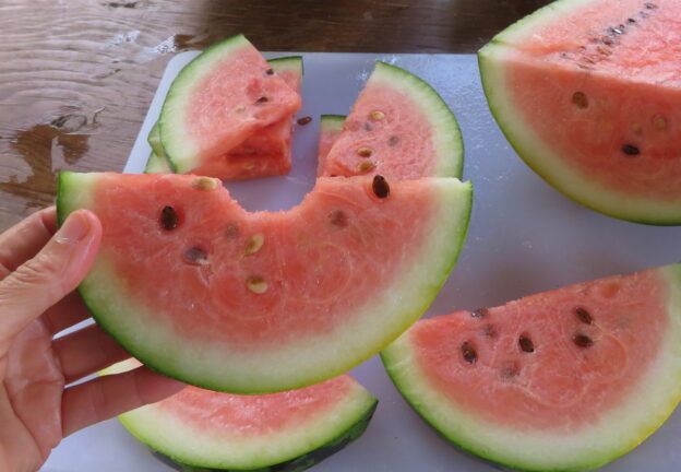Watermelon 'Chou Cheh Red'
