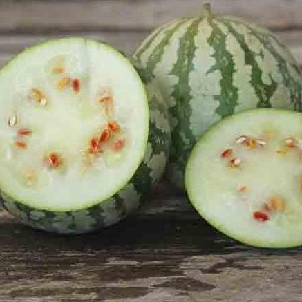 Organic 'Citron Red Seeded' watermelon