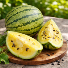 Organic 'Early Moonbeam' watermelon