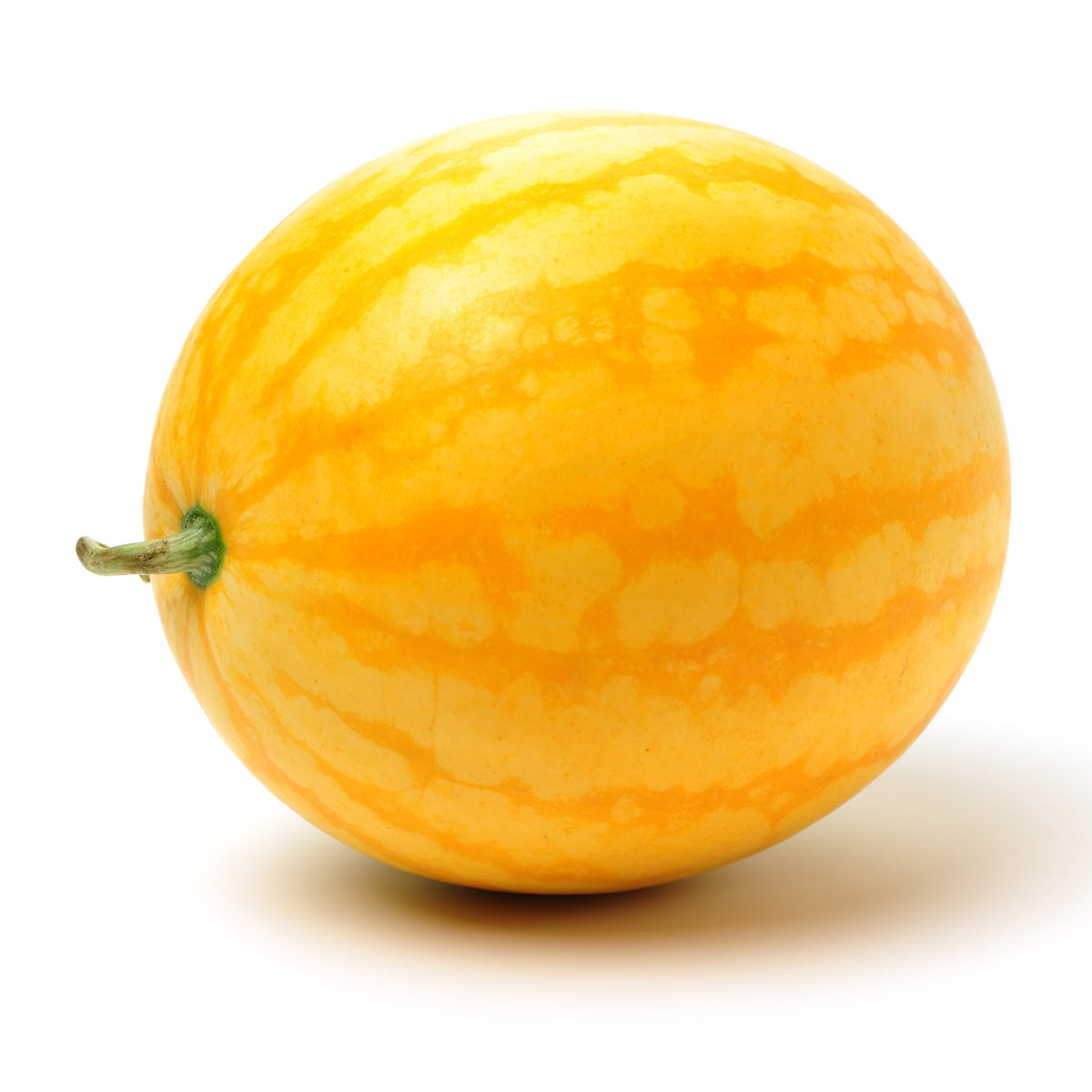 Photo de Melon d‘eau ’Golden Crown' F1. Les fruits présentent cette forme : ronde. Le visuel permet d’observer les contours, les teintes et la disposition des éléments présentés. Les détails de forme et les contrastes donnent un aperçu de l’apparence de cette plante ou de sa récolte. Cette photographie accompagne la variété nommée afin de l’identifier dans la sélection de semences.