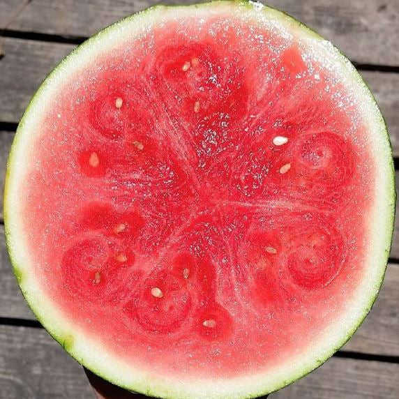 Organic 'Halbert Honey' Watermelon
