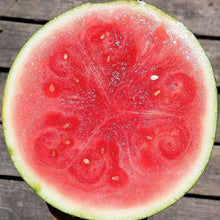 Organic 'Halbert Honey' Watermelon