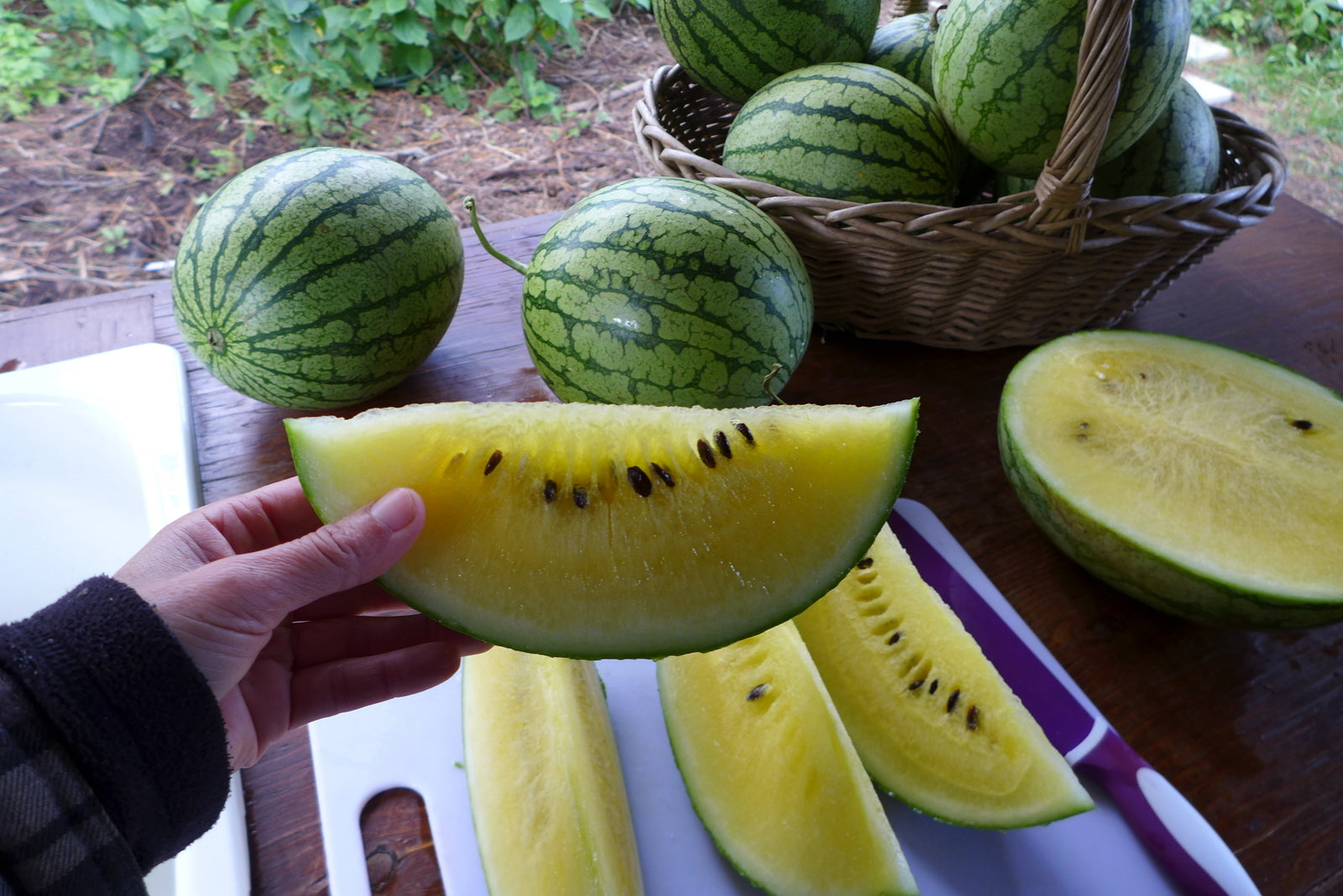 'Petite Yellow' Watermelon