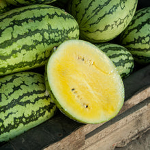 Yellow watermelon 'Sweet Siberian'