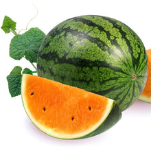 Watermelon 'Orange Tendersweet' 