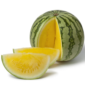 Photo de Melon d'eau jaune 'Amarillo' F1. Les fruits présentent cette forme : ronde. Le visuel permet d'observer les contours, les teintes et la disposition des éléments présentés. Les détails de forme et les contrastes donnent un aperçu de l'apparence de cette plante ou de sa récolte. Cette photographie accompagne la variété nommée afin de l'identifier dans la sélection de semences.