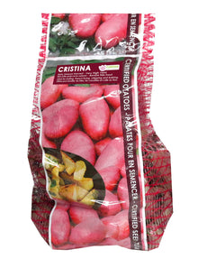 Pomme de terre ‘Cristina’ ( Solanum tuberosum ) : des pommes de terre à peau rouge présentées dans un sachet vertical. La présentation montre l’emballage avec une illustration du produit et son nom imprimé sur l’étiquette. Les informations sont regroupées sur la face visible, tandis que la photographie met en évidence le contenu ou la plante illustrée. Cette vue vous aide à reconnaître le produit présenté et son conditionnement.