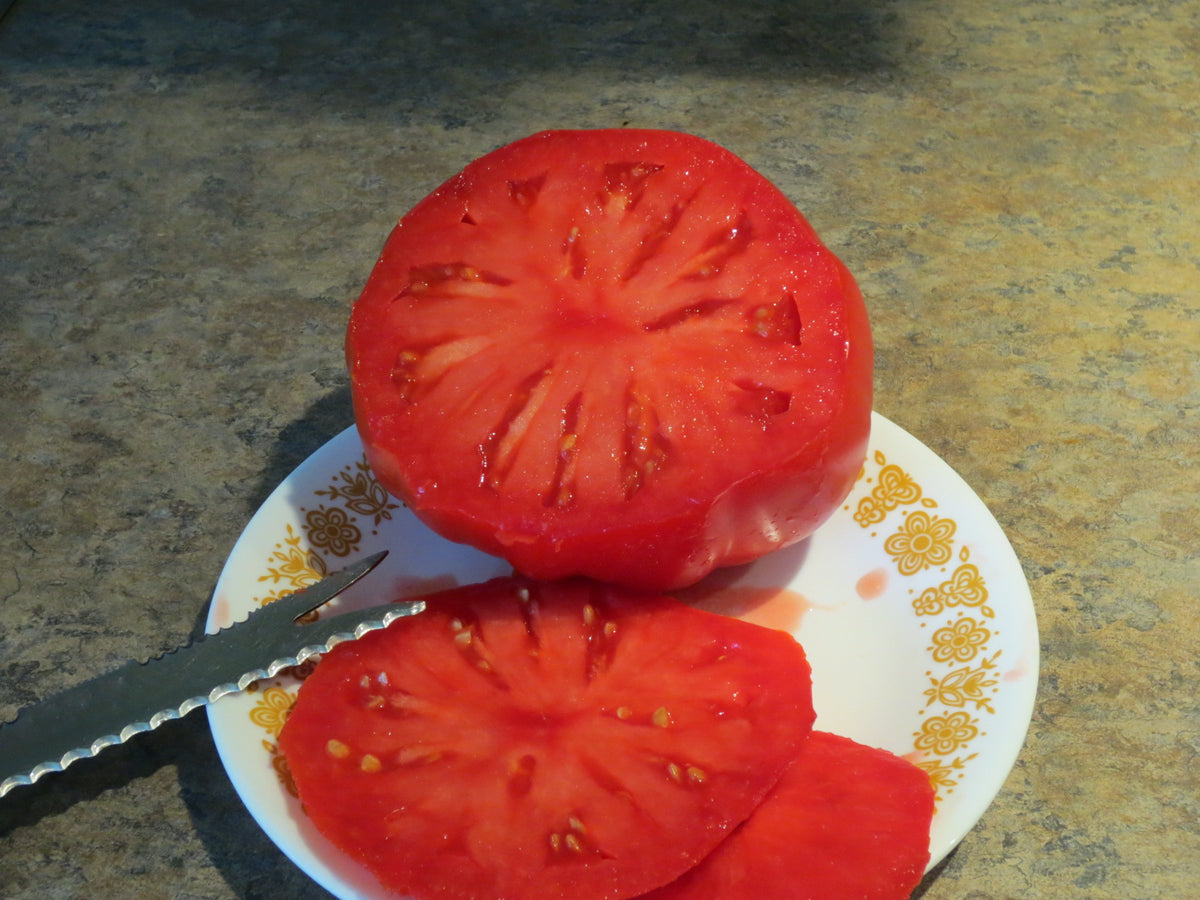 Tomate grecque de Michael – Gaia Organic Seeds