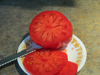 Organic 'Michael's Greek' Tomato Seeds by Gaia, product image prepared for Canadian gardeners.