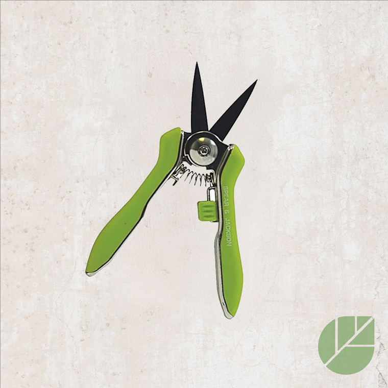 Mini shears S&J Green colors