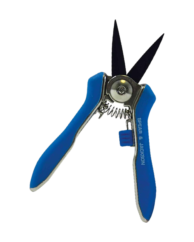 Mini cisailles S&J - Couleur bleue — photo sur fond blanc