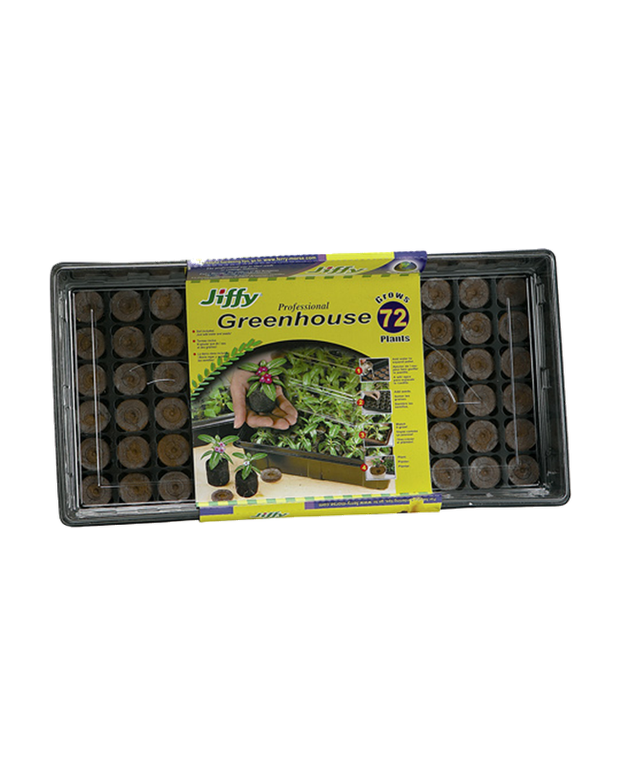 Mini serre 72 cellules — photo sur fond blanc