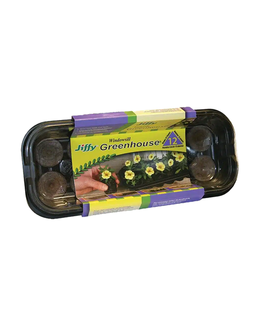 Mini serre auto-irrigante 12 cellules — photo sur fond blanc