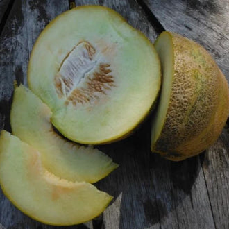 Melon 'Montreal Market' bio