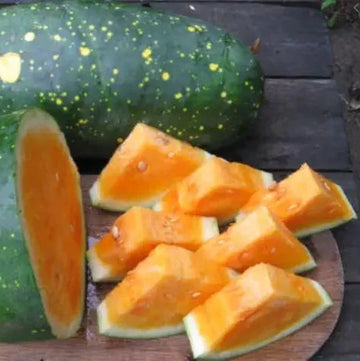 Melon d'eau 'Moon & Stars Yellow' bio