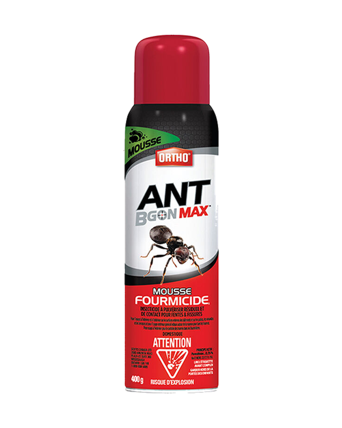 Mousse fourmicide Ortho® Ant B Gon Max — photo sur fond blanc