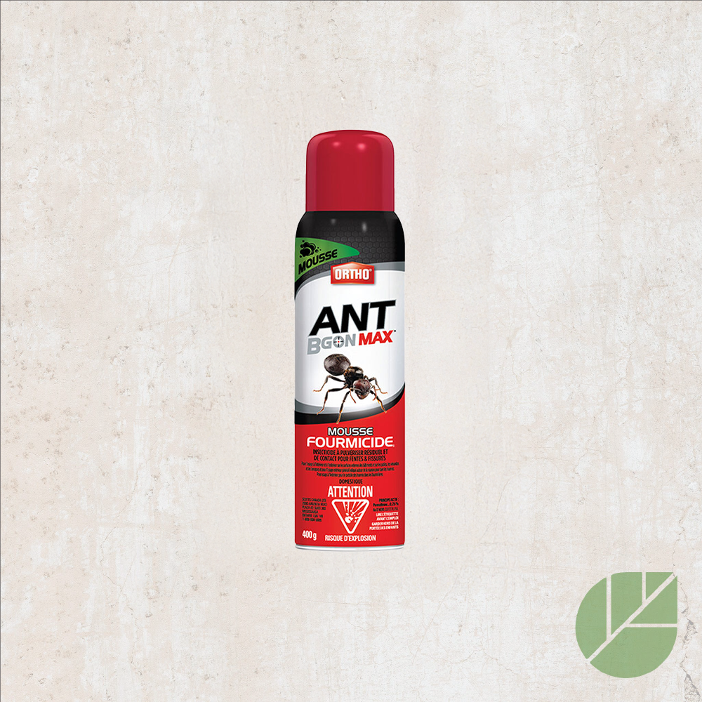 Ortho® Ant B Gon Max Ant Killer Foam