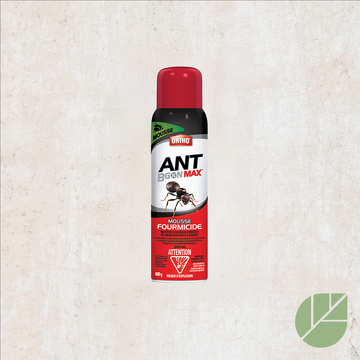 Mousse fourmicide Ortho® Ant B Gon Max