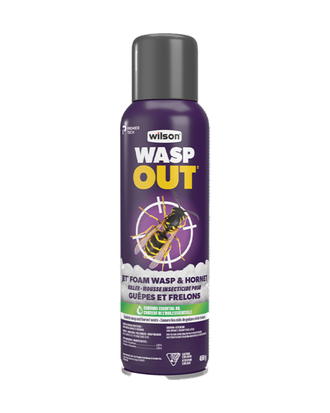 Mousse insecticide pour guêpes et frelons WASP OUT® par Wilson — photo sur fond blanc
