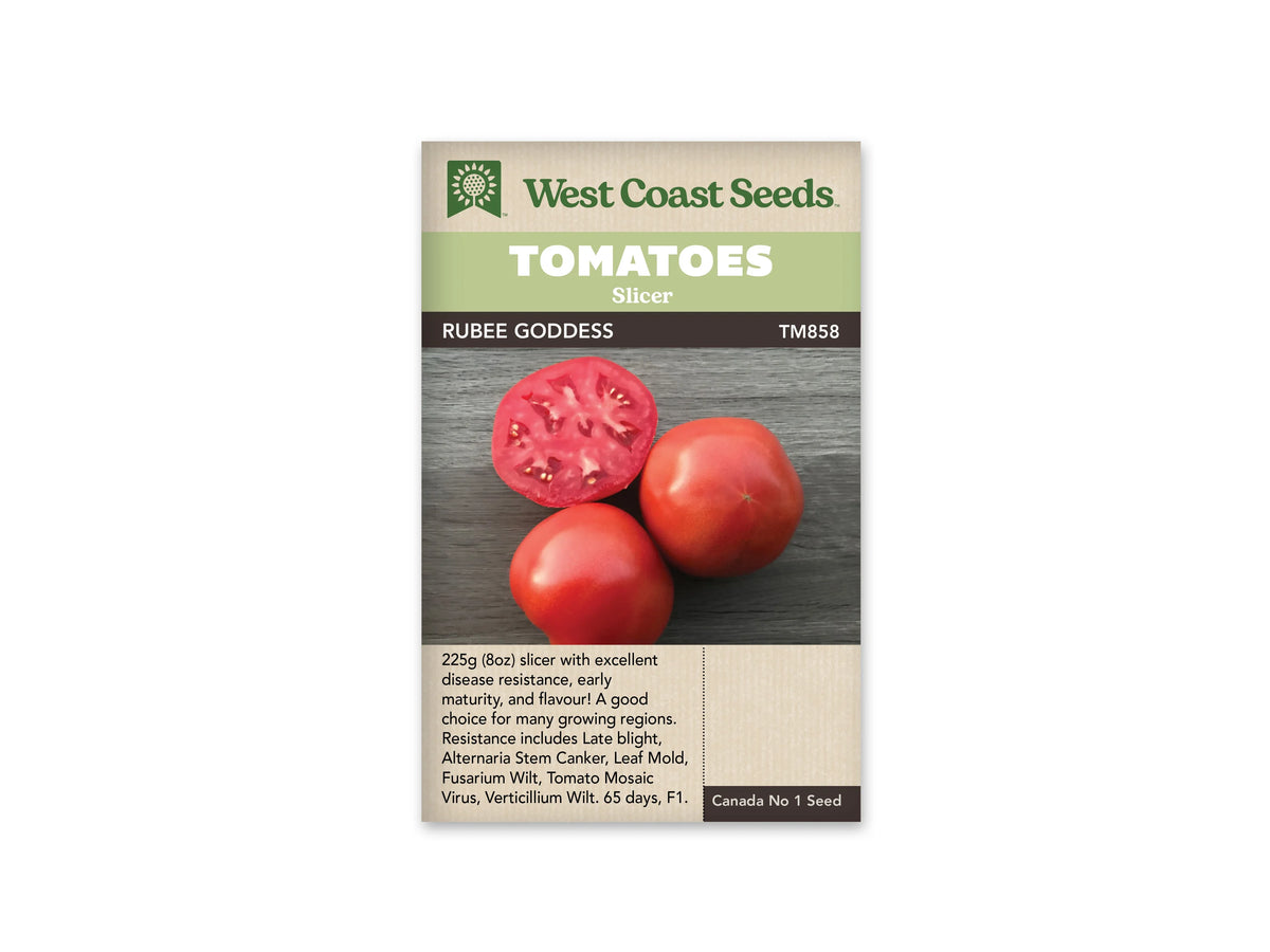 Sachet West Coast Seeds portant les mentions Tomatoes, Slicer et Rubee Goddess. La photo montre deux tomates rouges entières et une moitié coupée, posées sur une surface de bois sombre. La coupe laisse voir la chair et les loges du fruit. Le nom figure sur une bande foncée sous le bandeau vert de la marque.