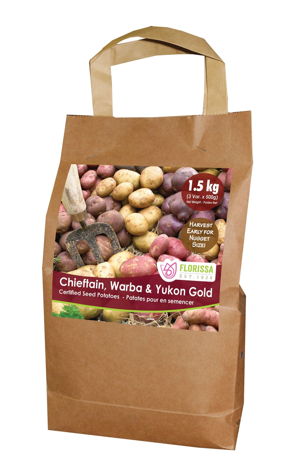 Pomme de terre ‘Nugget Combo Sack’ ( Solanum tuberosum ) : un sac en papier à poignées illustré de petites pommes de terre multicolores. La présentation montre l’emballage avec une illustration du produit et son nom imprimé sur l’étiquette. Les informations sont regroupées sur la face visible, tandis que la photographie met en évidence le contenu ou la plante illustrée. Cette vue vous aide à reconnaître le produit présenté et son conditionnement.