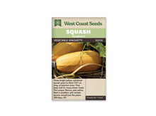 Sachet beige de semences Vegetable Spaghetti avec bandeau vert pâle et nom sur fond brun. Une courge allongée jaune doré repose horizontalement parmi les tiges. Une vrille verte dessine une boucle devant sa peau, légèrement mouchetée de clair. Une seconde courge apparaît à l'arrière, avec des feuilles vertes et des débris végétaux autour des fruits.