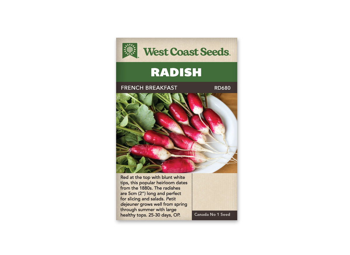 Sachet West Coast Seeds French Breakfast montrant des radis allongés rouges à pointe blanche dans une assiette claire. De fines racines pâles partent des extrémités, et les fanes vertes remplissent le haut de la photo. Le nom de la variété est inscrit dans un bandeau brun, sous le titre blanc sur fond vert.