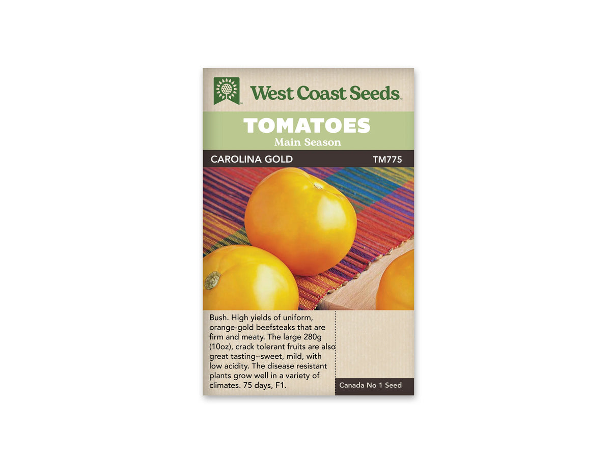 Sachet West Coast Seeds avec les mentions Tomatoes, Main Season et Carolina Gold. La photo montre des tomates rondes jaune orangé sur un tissu rayé de plusieurs couleurs. Une partie de fruit coupé est visible au bord droit. Le nom de la variété et le code TM775 figurent sous les bandeaux verts de la marque.