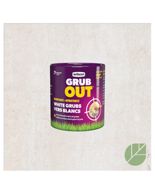 Nématodes Grub Out Wilson contre vers blancs — photo sur fond blanc