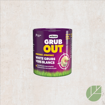Nématodes Grub Out Wilson contre vers blancs