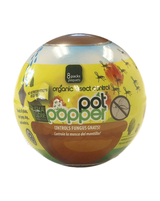 Nématodes Pot Poppers Nema Globe pour plantes en pot — photo sur fond blanc